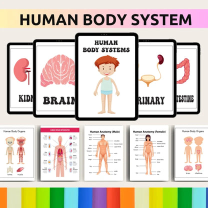 35,000+ Done-for-You Educational Resources Bundle – Instant Access with MRR/PLR